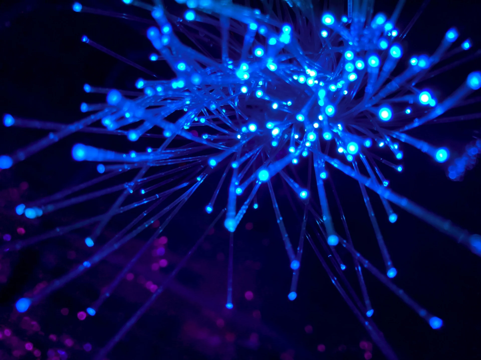 Plugged Into Epic: Who’s Actually Integrated - and What It Took