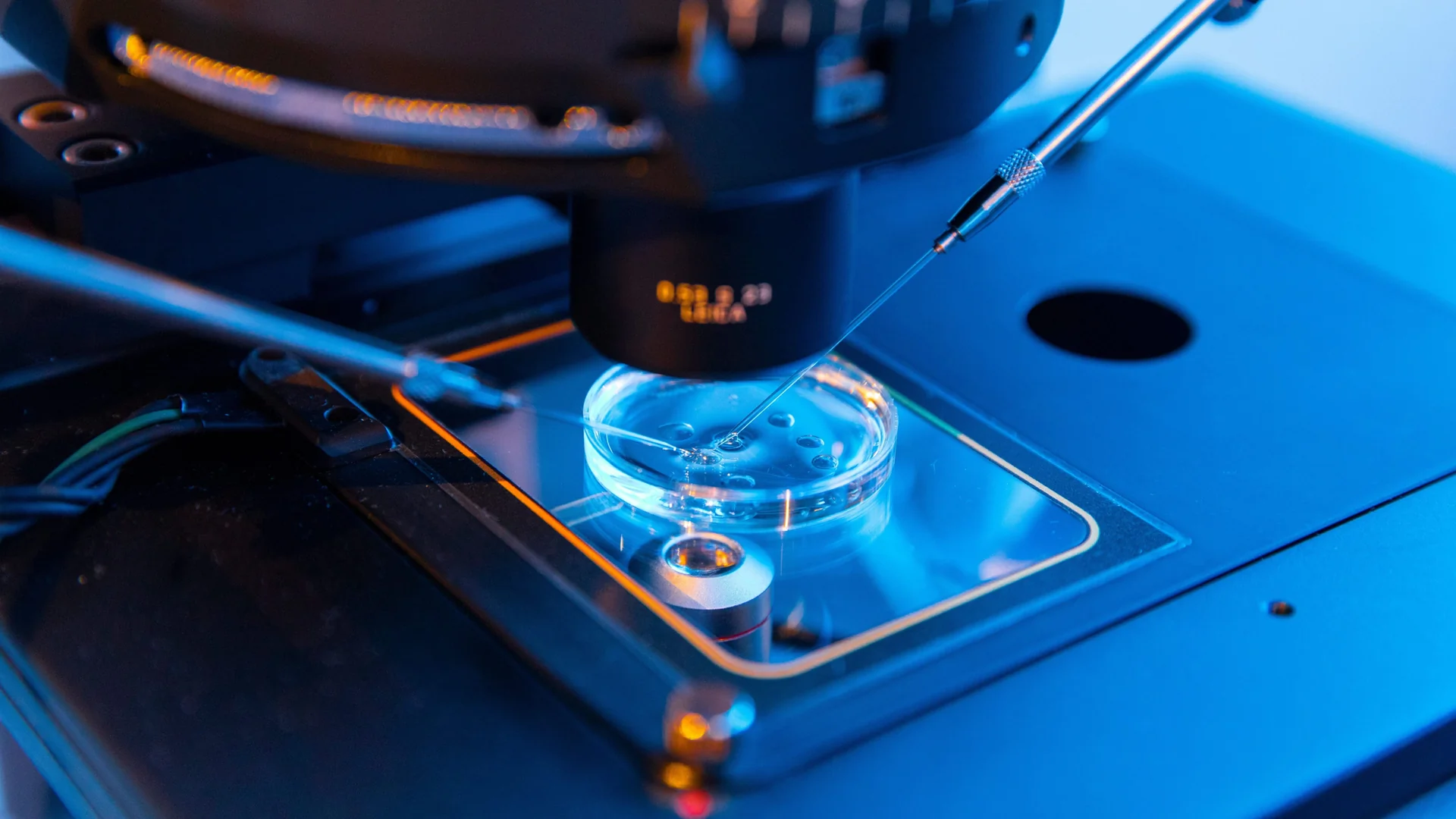 Is Pharma Failing to Scale AI?